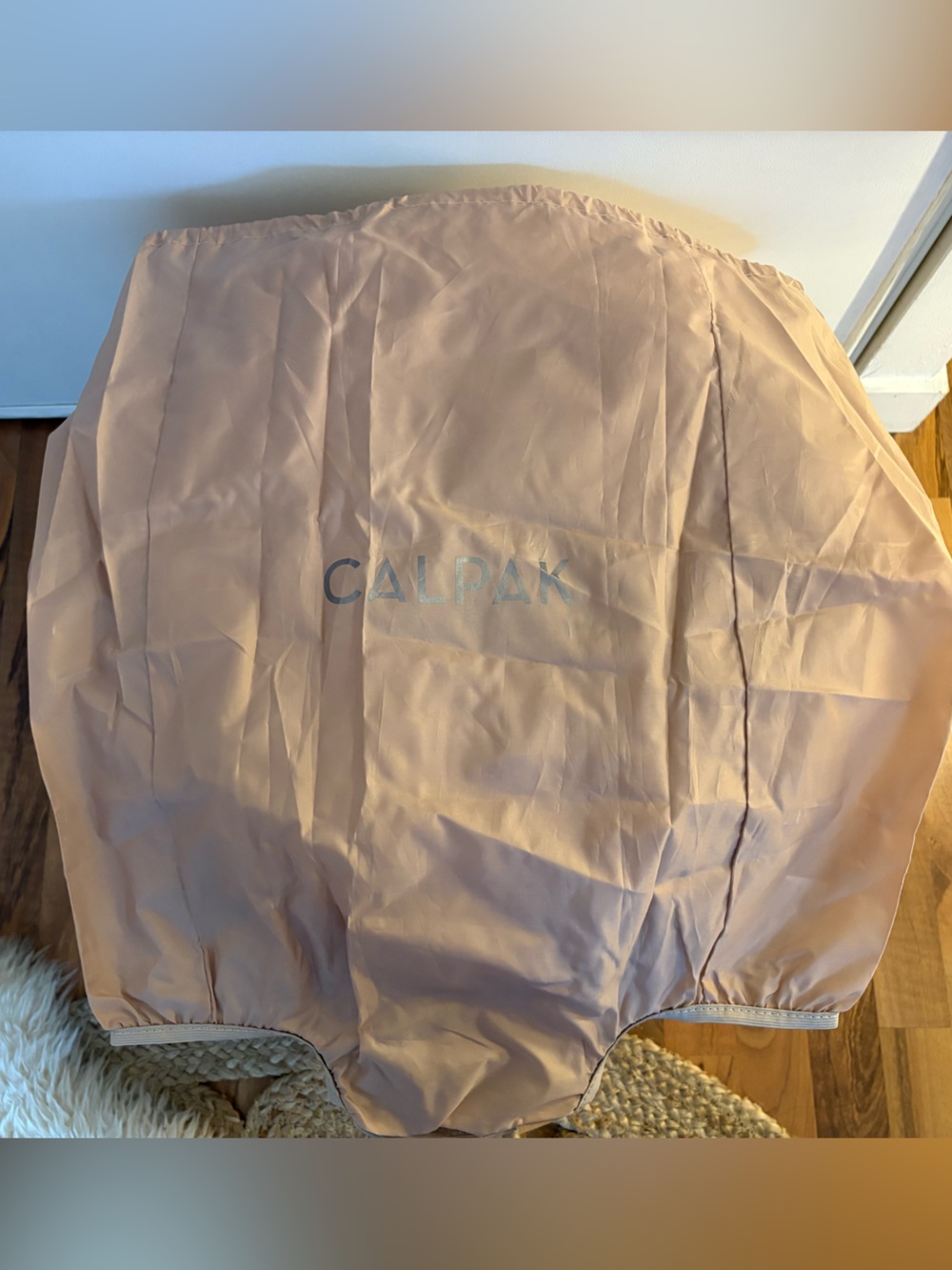 Calpak | Luggage Protector